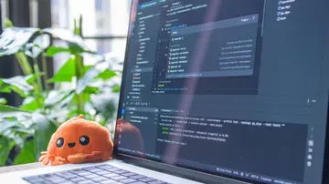 Open laptop with code editor displaying, next to an orange plush toy and green plants.