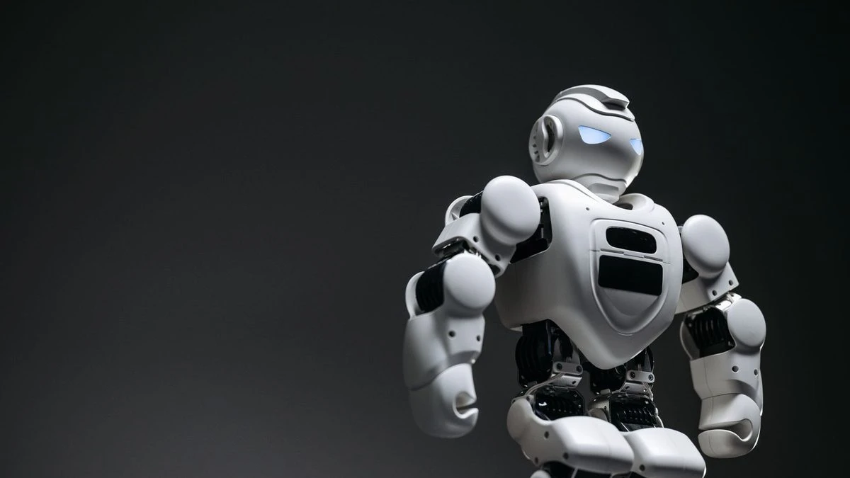 Thirty-day AI learning plan organized into daily practice and project milestones.