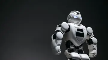 Thirty-day AI learning plan organized into daily practice and project milestones.