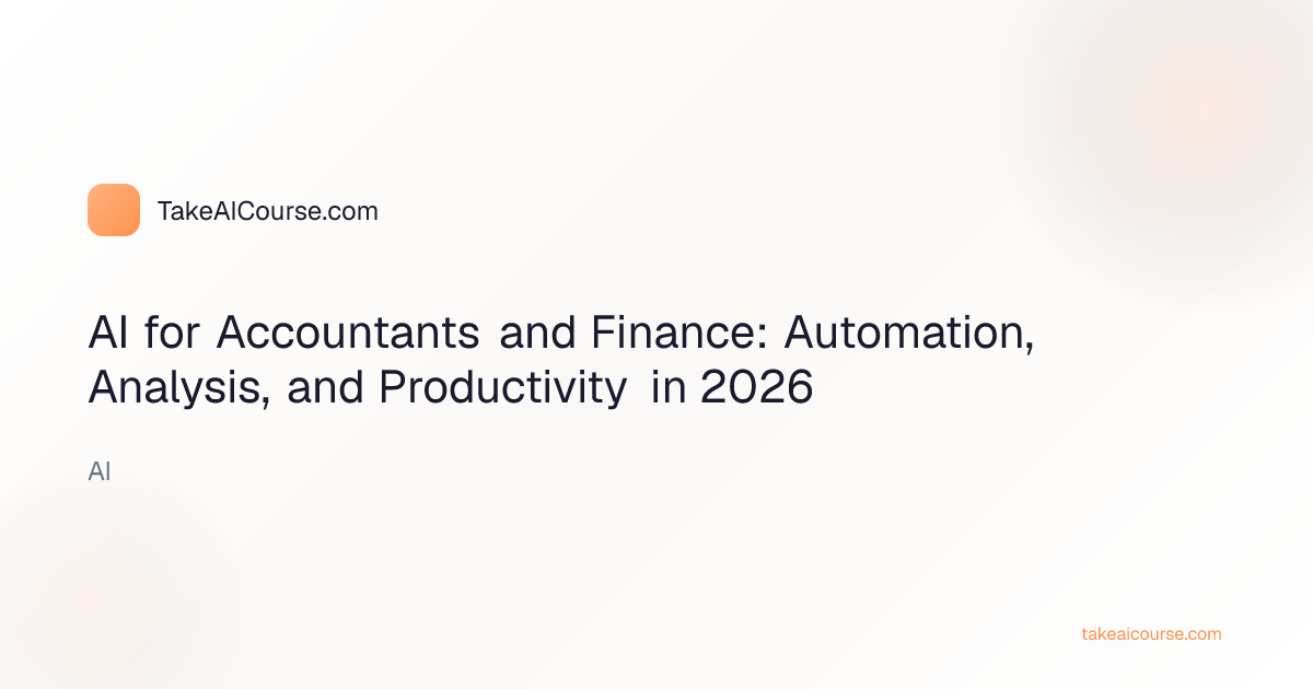 Brazilian accountant using AI for financial analysis and automation